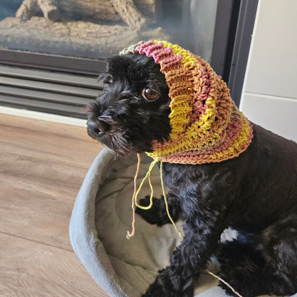 free crochet pattern for dog snood, dog accessory crochet, beginner friendly dog crochet hat pattern, easy dog snood crochet pattern free