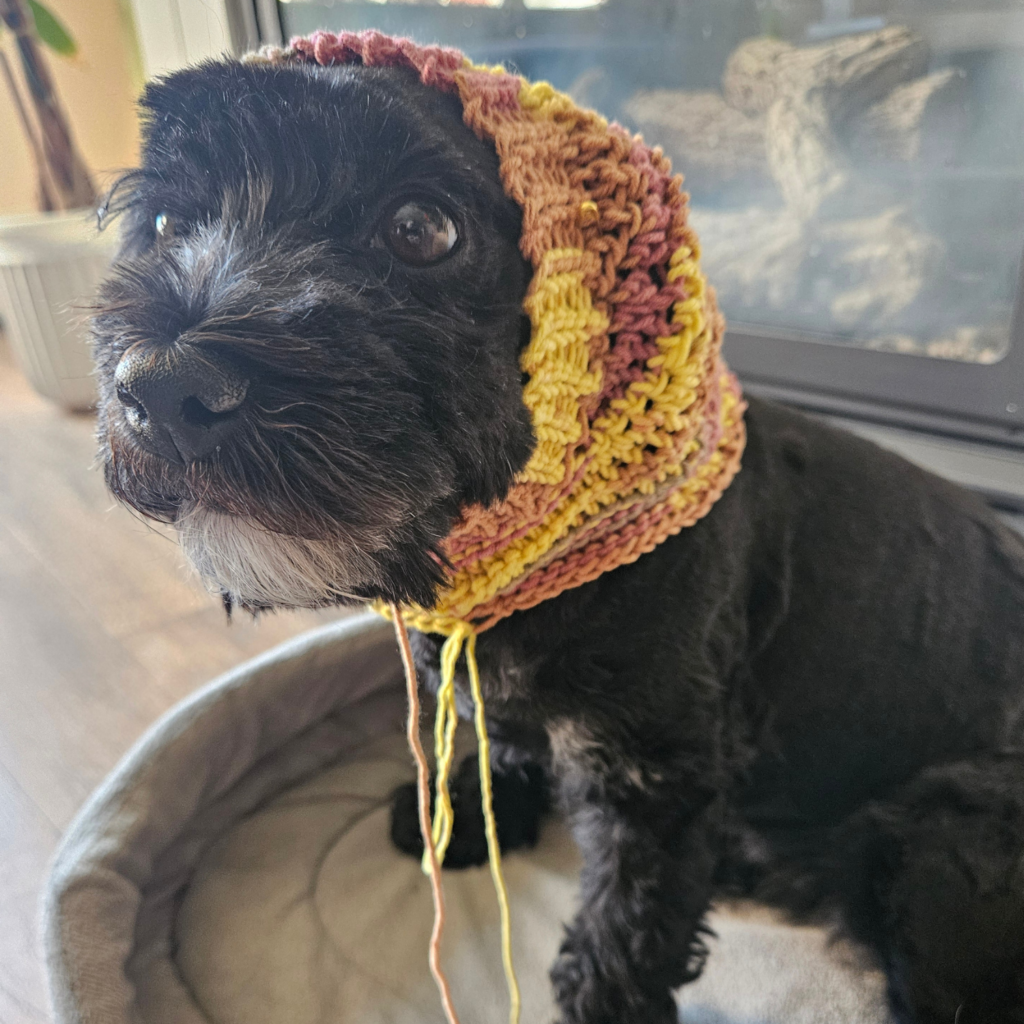 free crochet pattern for dog snood, dog accessory crochet, beginner friendly dog crochet hat pattern, easy dog snood crochet pattern free