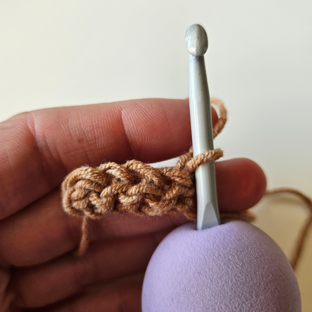 crochet chain and single crochet stitches